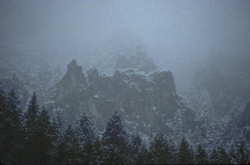 Logan Canyon,  May 91