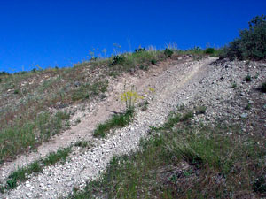 ATV trespass
