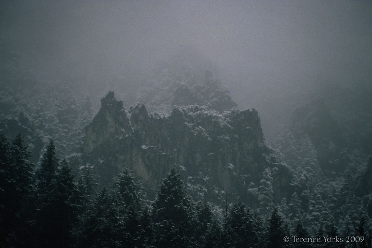Logan Canyon spring