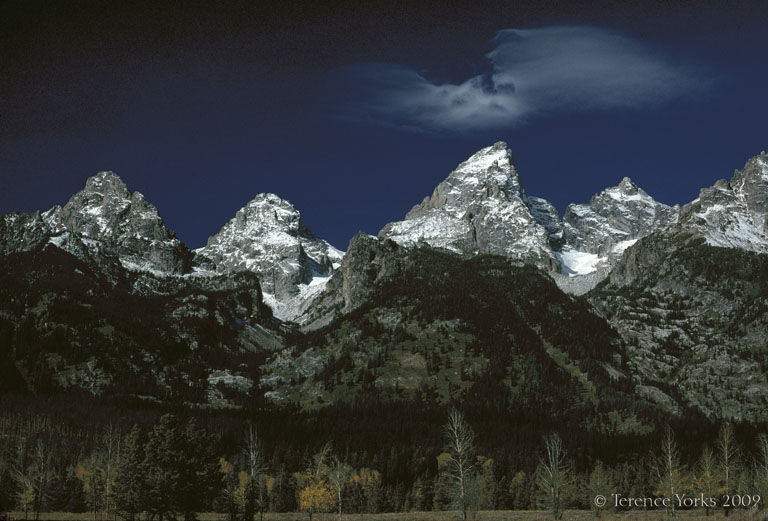 Great bird cloud over the Grand Teton.
